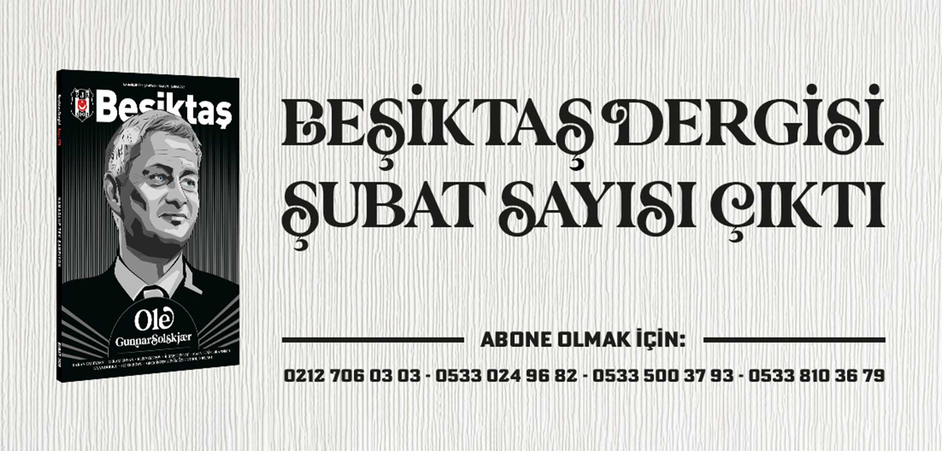 Mersin Bjk